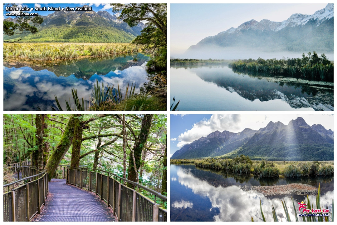 Top 10 Travel Destinations in South New Zeland